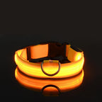 Nylon LED Night Safety Flashing Glow Collar