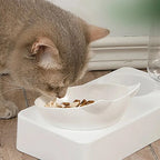 Automatic Drinking Feeder