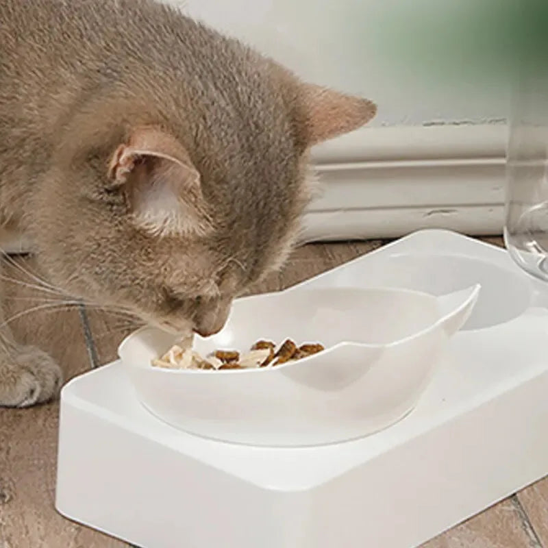 Automatic Drinking Feeder