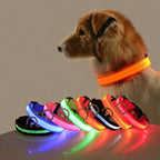 Nylon LED Night Safety Flashing Glow Collar