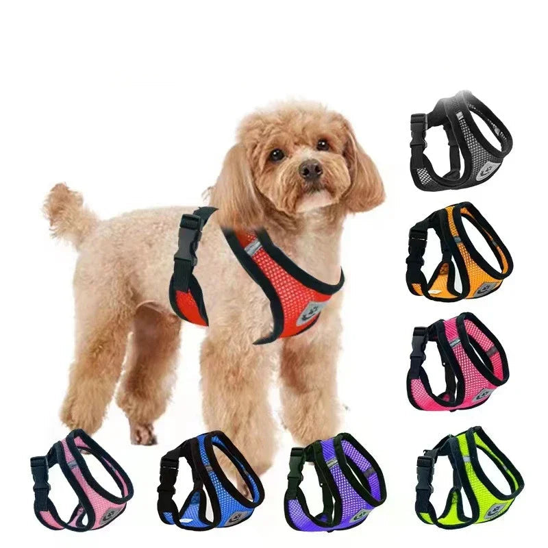 Harness Vest Walking Lead Leash