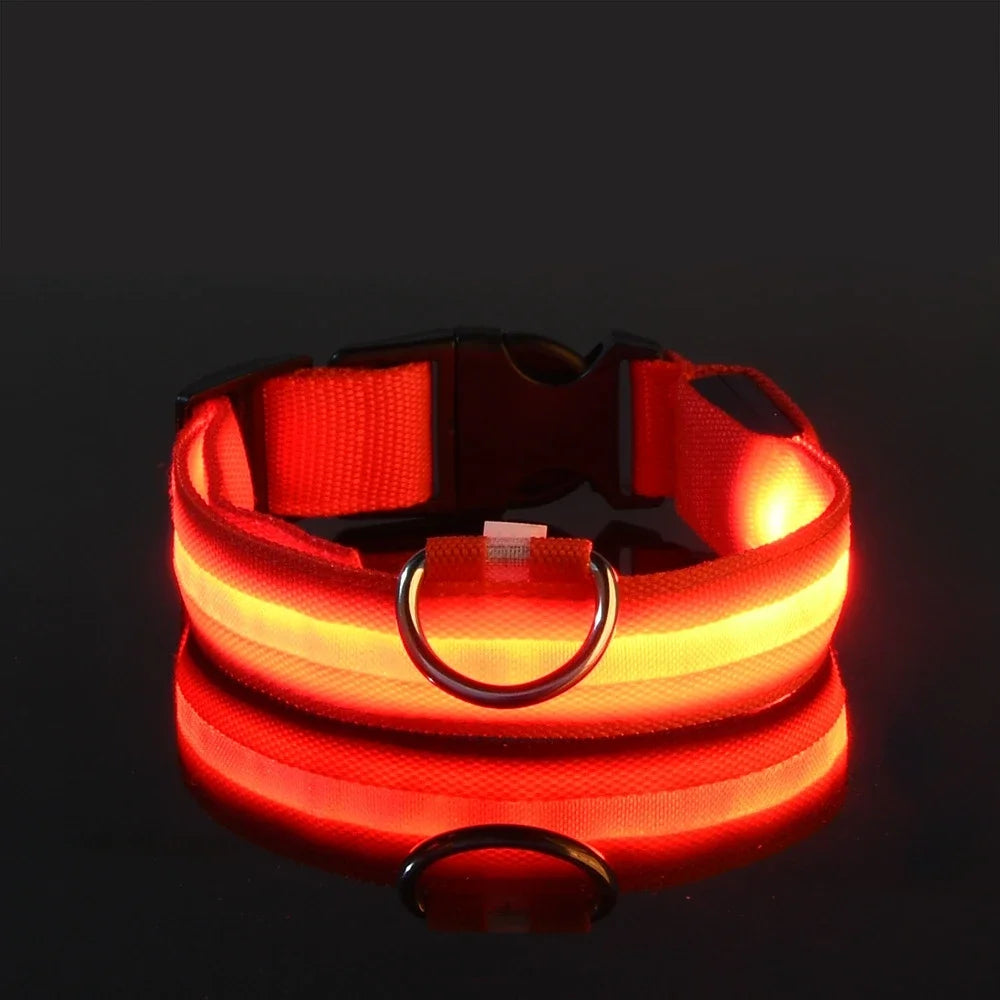 Nylon LED Night Safety Flashing Glow Collar